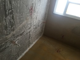 汉飞